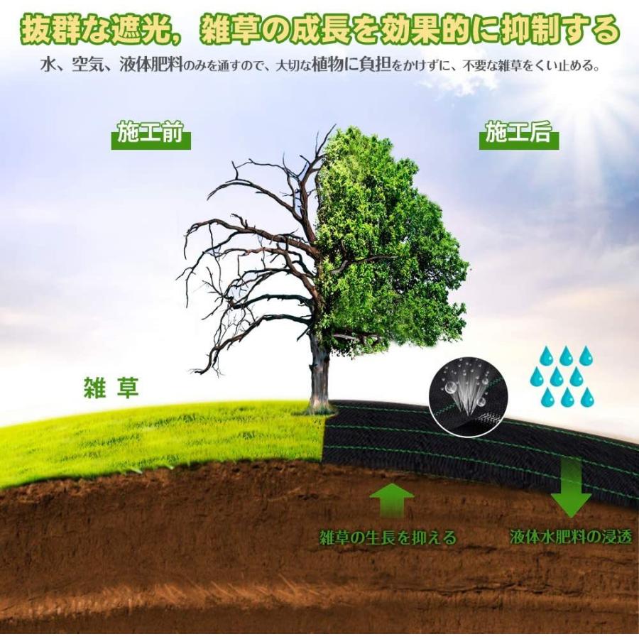 定番スタイル 防草シート 雑草防止シート 1x10m 除草シート 人工芝 雑草 芝生 Diy 草 庭 雑草シート ロール 砂利 雑草駆除 園芸 家庭菜園 農業用 Aynaelda Com