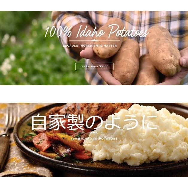 乾燥マッシュポテト ポテトフレークス じゃがいも料理 1kg 常温保存 業務用 付け合わせ