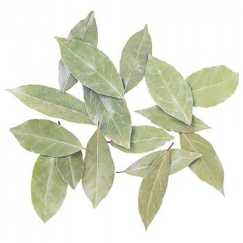 大注目 21年4月下旬入荷分予約受付中 東北花材 Toka ドライフラワー ローレル 大袋 ナチュラル 約1kg 信頼 Kuljic Com