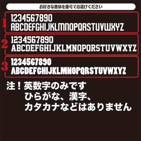シーズー No.13 名前入 カッティングステッカー セミオーダー