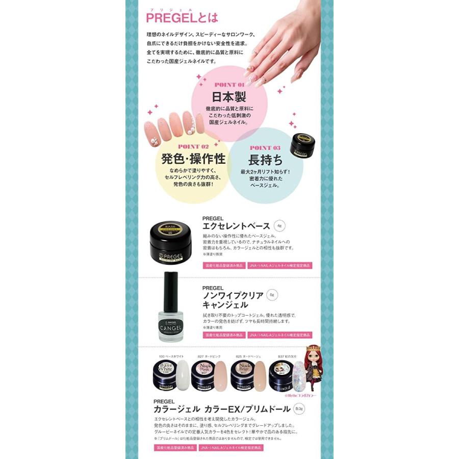 国産 プリジェル ジェルネイル スターターキット 日本製カラージェル4色 Ledライト48w ネイルアート 初心者におすすめ 新しい到着 Www Thedailyspud Com