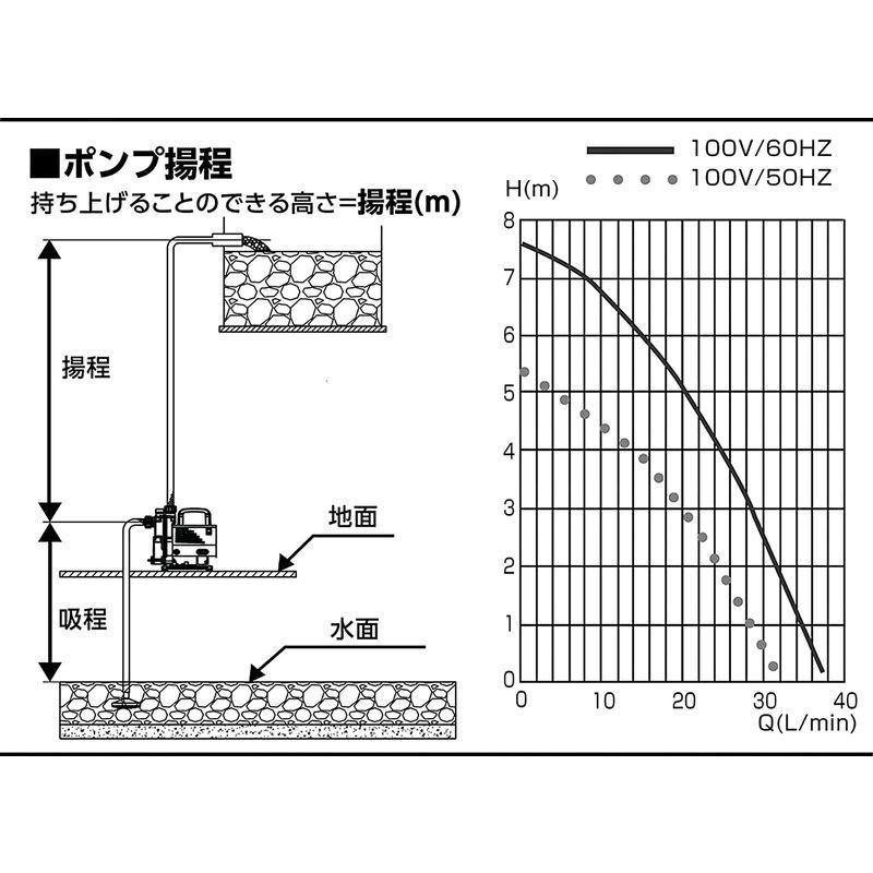 100 正規品 プロスタイルツール キャリーポンプ 陸上ポンプ Pcp 50 給水 排水ポンプ Oroagri Eu