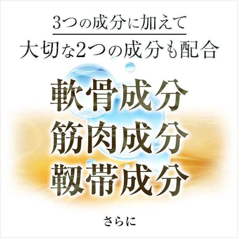 半額品 軟骨成分 筋肉成分だけでは満足できなかったあなたへ 靱帯成分配合 グルコサミン 日本薬師堂 プロテオグリカン ロコモバリア 2型コラーゲン  グルコサミン