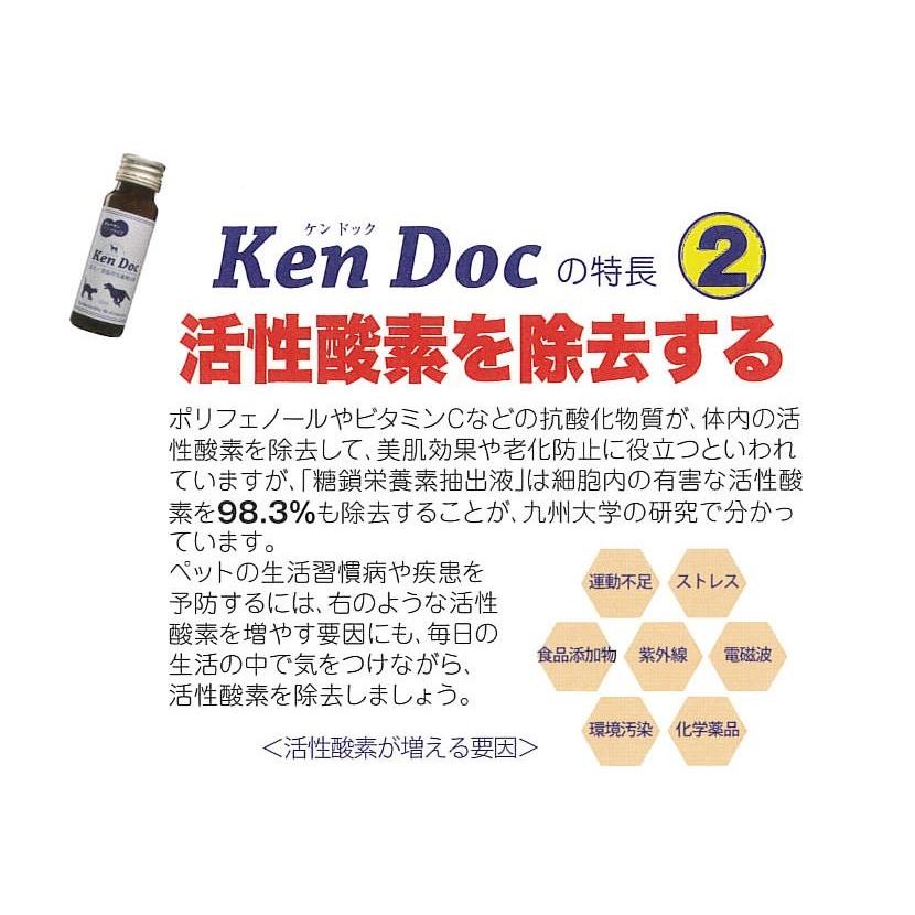 Ken Doc 愛犬・愛猫用栄養補完食 50mL×10本 ペット用サプリメント