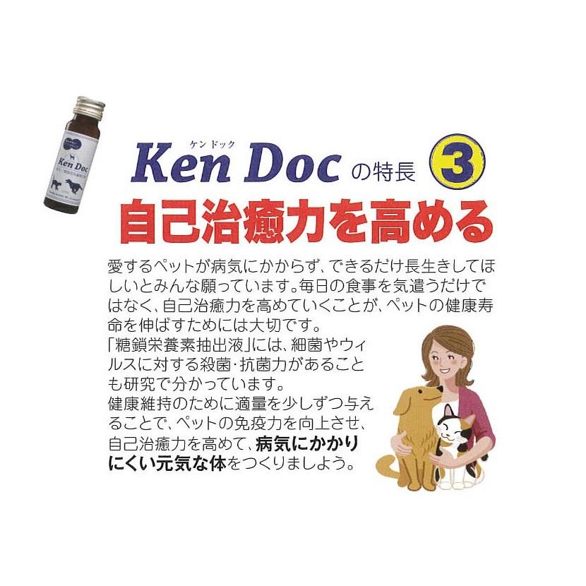 ケンドック50mL×10本 サプリメント 健康食品 さぷり ペット 犬イヌ 猫ネコ｜aoidou-y｜05