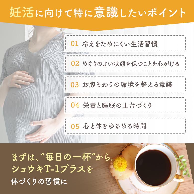 たんぽぽ茶 タンポポ茶 ショウキT-1プラス3箱セット 不妊 お茶