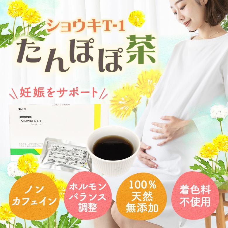 たんぽぽ茶 タンポポ茶 ショウキT-1プラス3箱セット 不妊 お茶 たんぽぽ茶 タンポポ茶 ショウキT-1プラス3箱セット 不妊 お茶