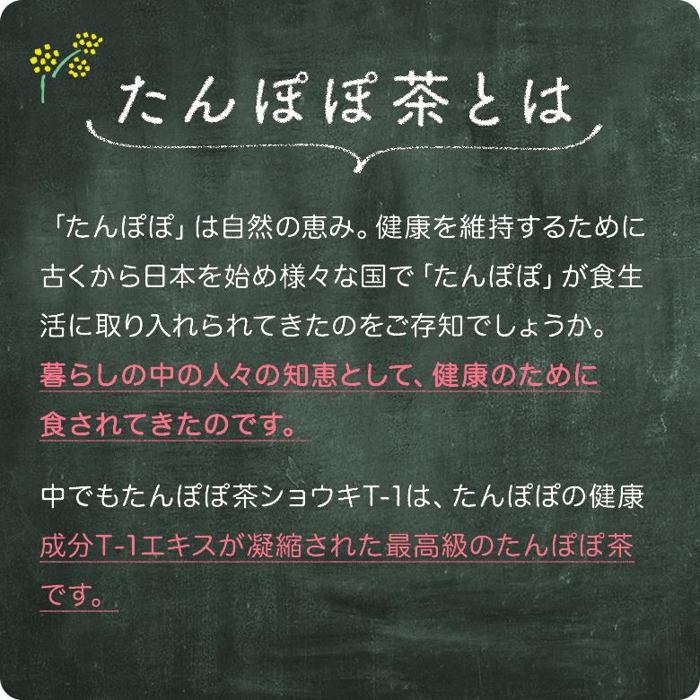 たんぽぽ茶 タンポポ茶 ショウキT-1プラス3箱セット 不妊 お茶 たんぽぽ茶 タンポポ茶 ショウキT-1プラス3箱セット 不妊 お茶