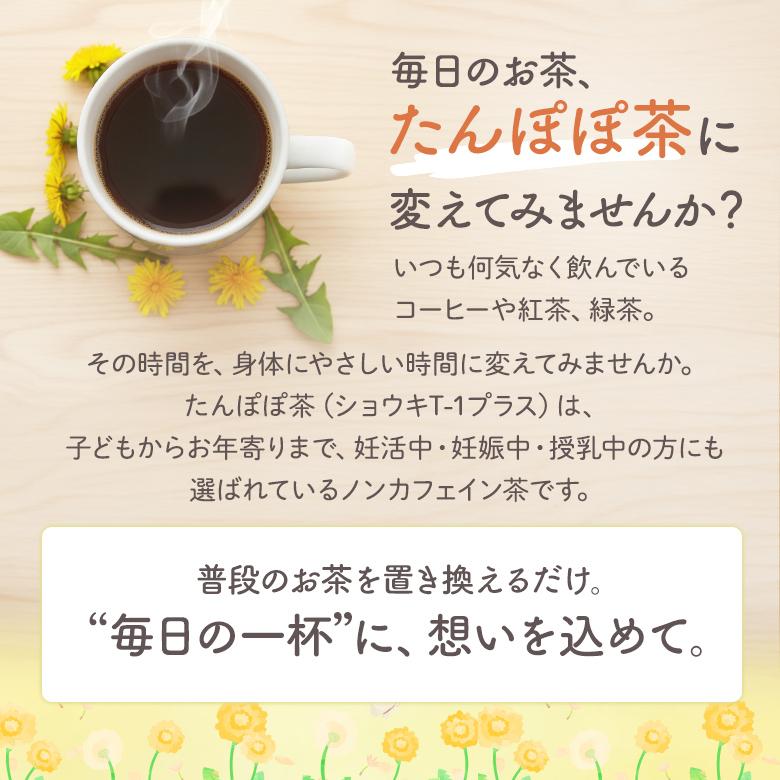 たんぽぽ茶 タンポポ茶 ショウキT-1プラス6箱セット 漢方 妊娠中 お茶