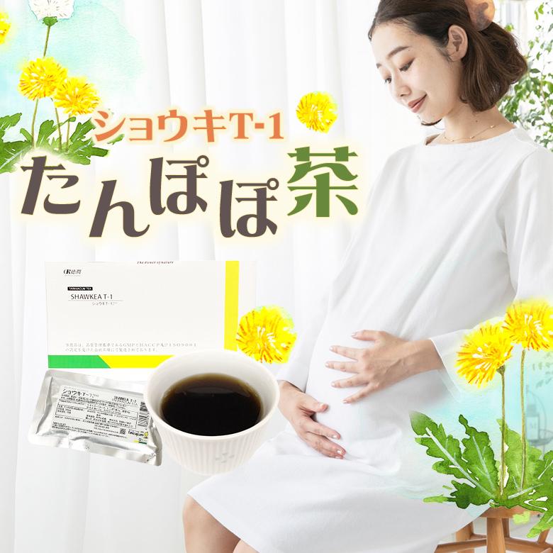 たんぽぽ茶 ショウキT-1プラス お試し3袋 不妊 妊婦 お茶 たんぽぽ茶 ショウキT-1プラス お試し3袋 不妊 妊婦 お茶