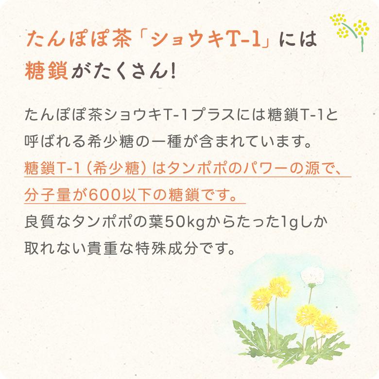たんぽぽ茶 ショウキT-1プラス お試し3袋 不妊 妊婦 お茶 赤ちゃん
