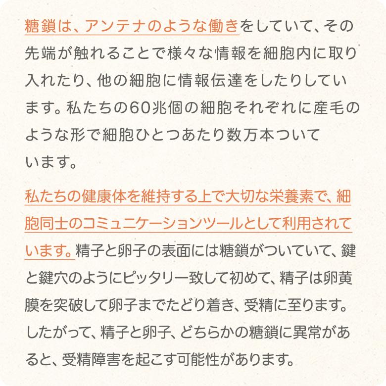 たんぽぽ茶 ショウキT-1プラス お試し3袋 不妊 妊婦 お茶 たんぽぽ茶 ショウキT-1プラス お試し3袋 不妊 妊婦 お茶
