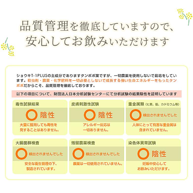 たんぽぽ茶 ショウキT-1プラス お試し3袋 不妊 妊婦 お茶 たんぽぽ茶 ショウキT-1プラス お試し3袋 不妊 妊婦 お茶
