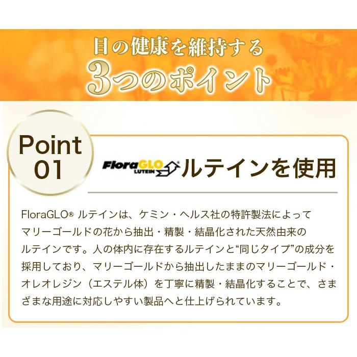 スーパールテイン＆ブルーベリー5袋+1袋 1袋あたり30粒入り 約30日分 