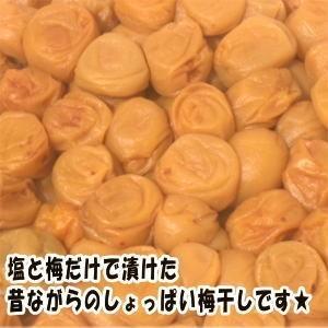 白干小梅 4キロ（1kg×4） ご家庭用 B級品 【梅干し】【うめぼし