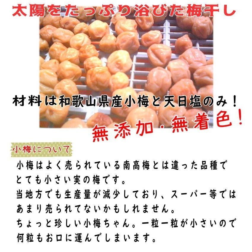 白干小梅 4キロ（1kg×4） ご家庭用 B級品 【梅干し】【うめぼし