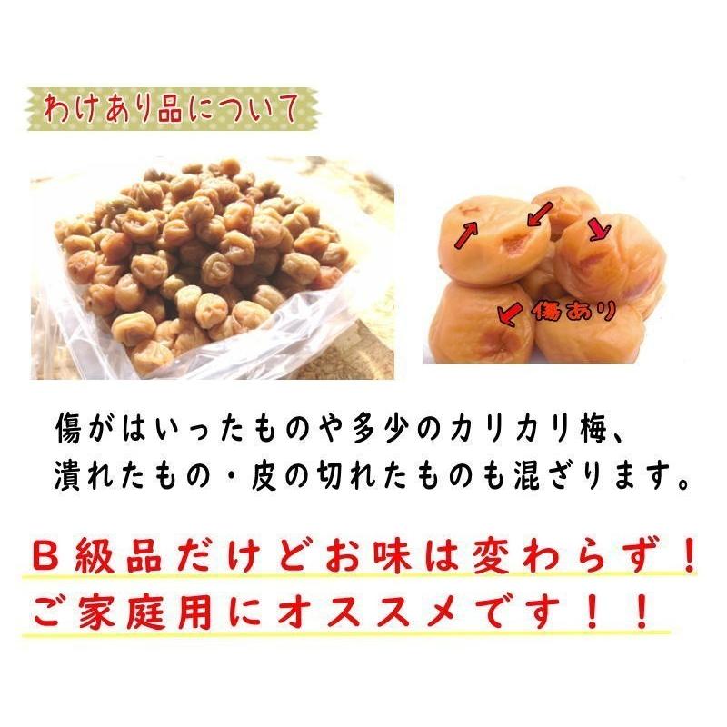 白干小梅 4キロ（1kg×4） ご家庭用 B級品 【梅干し】【うめぼし