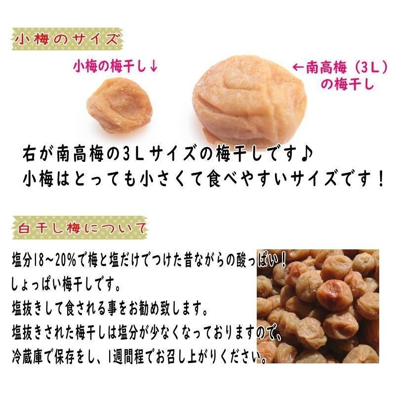白干小梅 4キロ（1kg×4） ご家庭用 B級品 【梅干し】【うめぼし