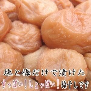 白干梅 1キロ ご家庭用 B級品 紀州南高梅 : 梅とみかん 紀州葵