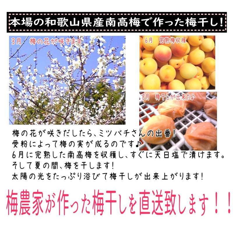白干梅 1キロ ご家庭用 B級品 紀州南高梅 : 梅とみかん 紀州葵農園