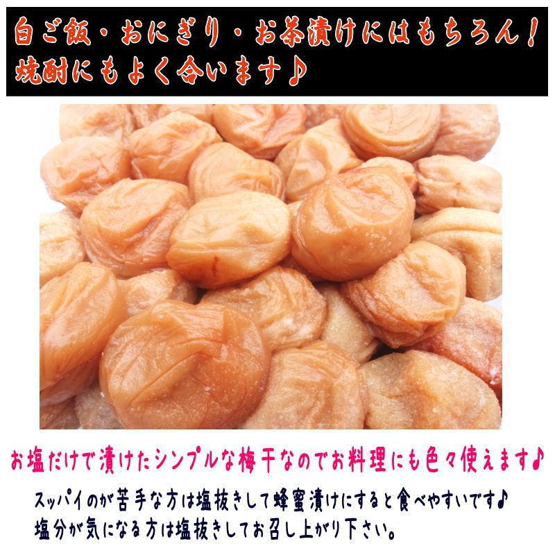 白干梅 3キロ（1kg×3） ご家庭用 B級品 紀州南高梅 : 梅と