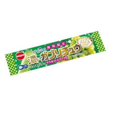 お菓子 グミ チョコ ガブリチュウ お菓子 グミ チョコ ガブリチュウ 【公式通販】