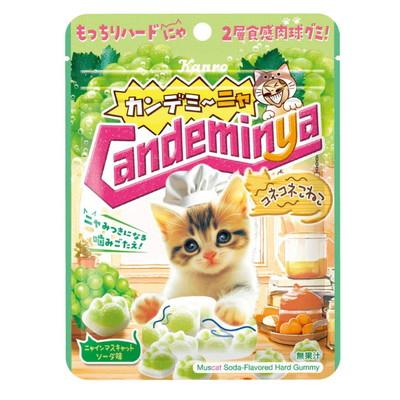 カンデミーニャグミ コネコネこねこ 6入 駄菓子 子供会 景品 お祭り