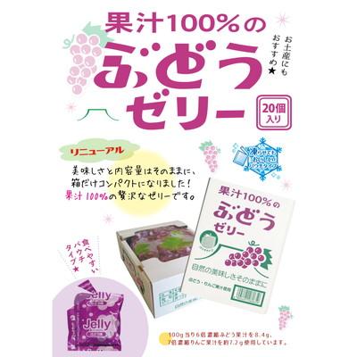 果汁100％ゼリーBOXパウチ ぶどう味 20個入 駄菓子 子供会 景品