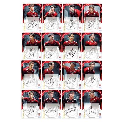 未使用品　Foil】ヴリンの神童、ジェイス　4枚セット BANDAI（バンダイ） JAPAN NATIONAL VOLLEYBALL TEAM -男子日本代表ver