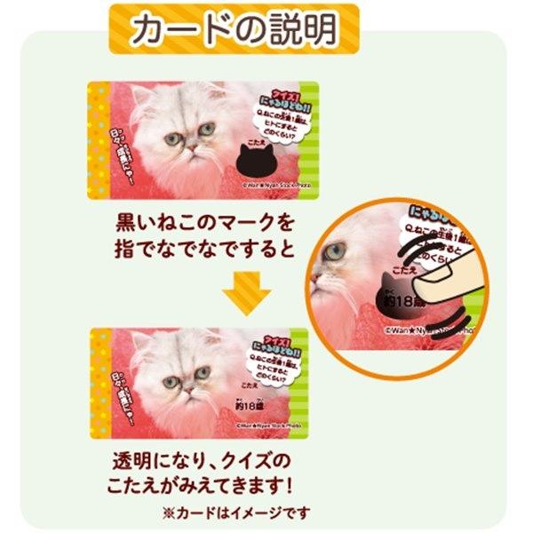 きまぐれねこにゃん クランチチョコレート 20入 駄菓子 子供会 景品 お祭り くじ引き 縁日 :ty075:あおい玩具ヤフー店 - 通販 - Yahoo!ショッピング きまぐれねこにゃん クランチチョコレート 20入 駄菓子 子供会 景品 お祭り くじ引き 縁日 :ty075:あおい玩具ヤフー店 - 通販 - Yahoo!ショッピング