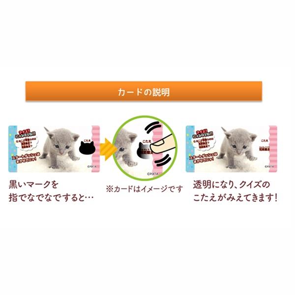 きまぐれねこにゃん クランチチョコレート 20入 駄菓子 子供会 景品