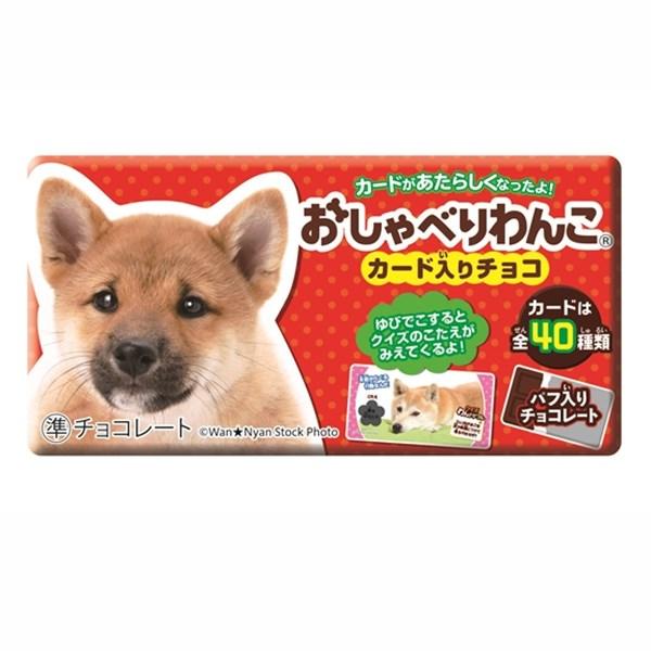 おしゃべりわんこ クランチチョコレート 20入 駄菓子 子供会 景品
