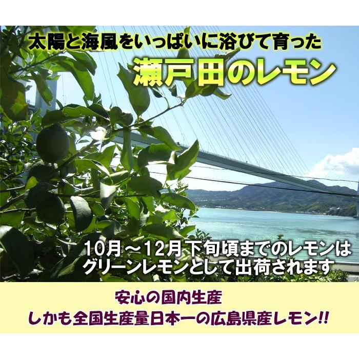 レモン 秀品 10kg 国産レモン 瀬戸内レモン 瀬戸田レモン ロック