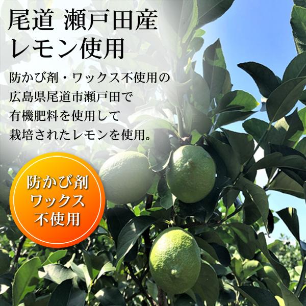 レモン 国産レモン 訳あり 5kg ノーワックス 防腐剤不使用 瀬戸田