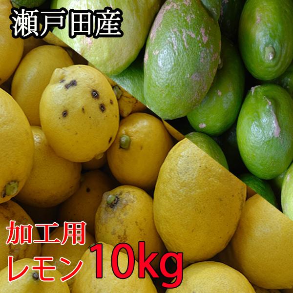 レモン 訳あり 加工用 10kg 国産レモン 瀬戸内レモン 瀬戸田レモン