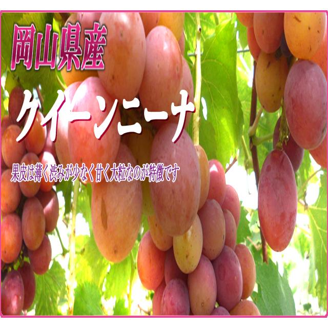 クール便発送】クイーンニーナ 訳あり 岡山産 2kg 約4房〜6房