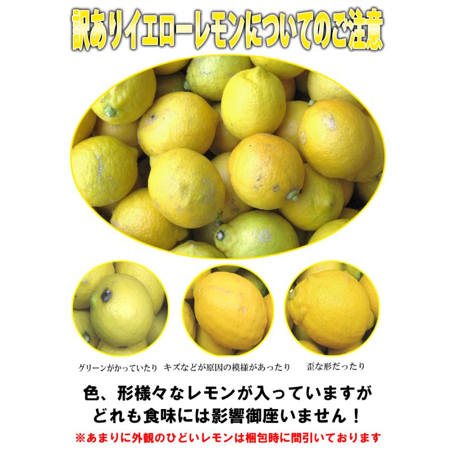 国産 レモン 訳あり 2kg 広島 瀬戸田産 ノーワックス 防腐剤不使用 家庭用 わけあり 有機栽培 減農薬 国産レモン 果汁 無添加果汁 酎ハイ ジュース 柑橘 Lemon W 02 あおいくま 通販 Yahoo ショッピング