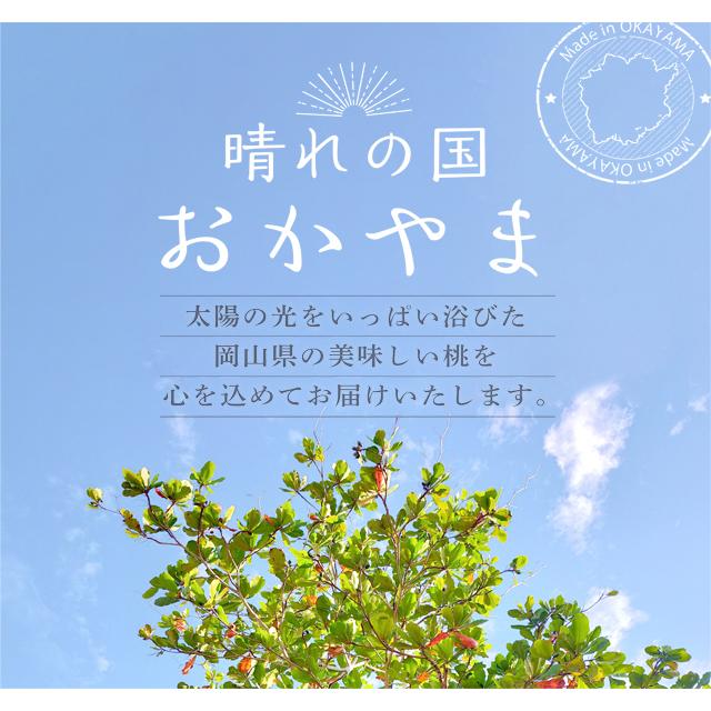 【クール便発送】岡山白桃 加納岩白桃 岡山産 約3.0kg 約8玉〜11玉 岡山桃 桃 もも お中元 贈答用 秀品の画像