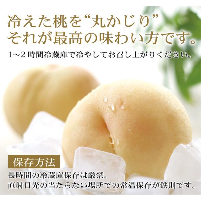 【クール便発送】岡山白桃 瀬戸内白桃 3kg 約8玉〜11玉 白桃 岡山桃 桃 もも 贈答用 秀品の画像
