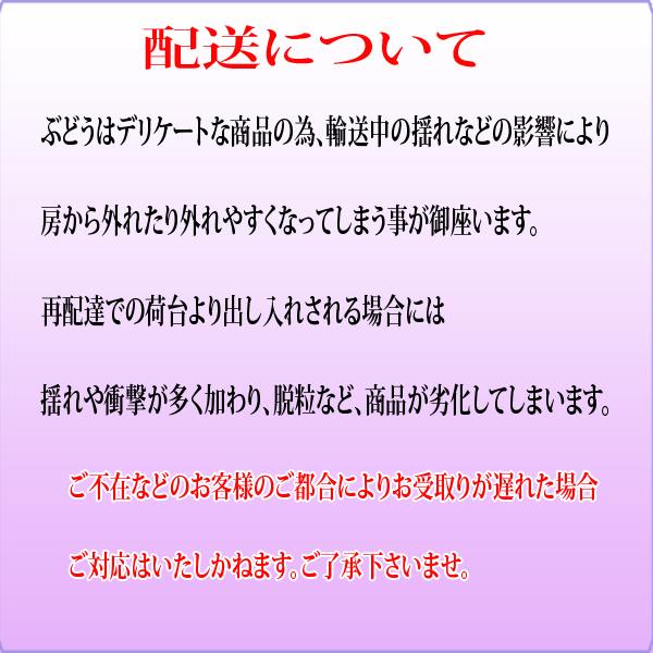 クール便発送】岡山ぶどう 詰め合わせぶどう 4房 おまかせぶどう