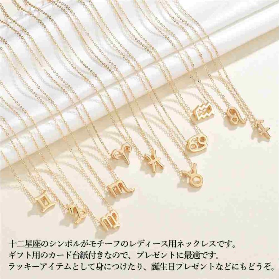 星座 ネックレス ホロスコープ ペンダント 12星座 十二星座