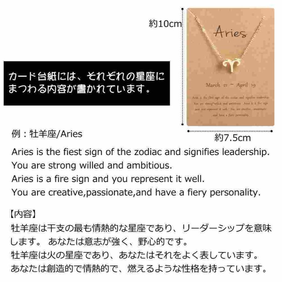 星座 ネックレス ホロスコープ ペンダント 12星座 十二星座