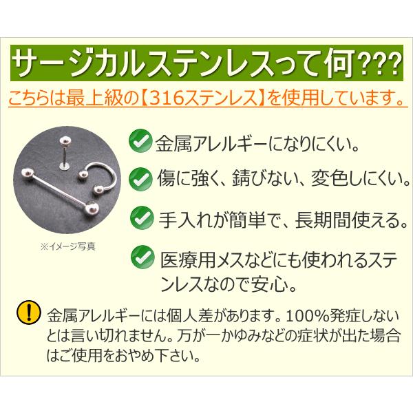 送料無料 2G ストレートバーベル ボディピアス ボディーピアス