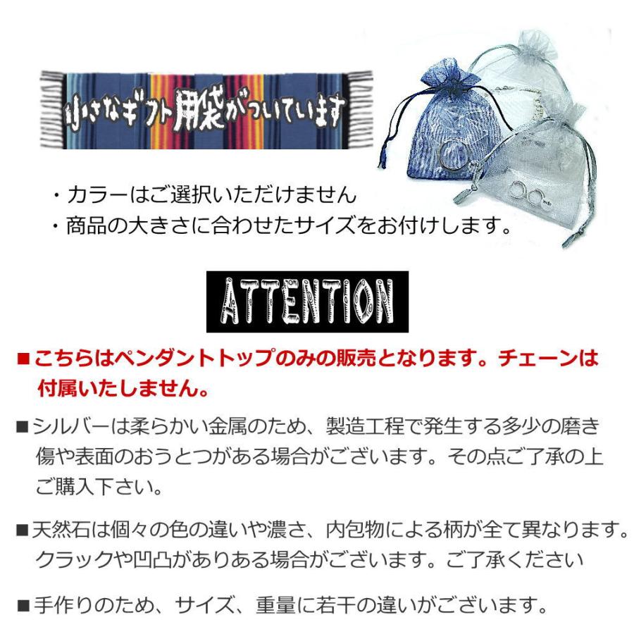 ブラックスター クリスタル 水晶 天然石 ペンダント トップ 銀 シルバーペンダント シルバー925 黒い石 透明 t057_7