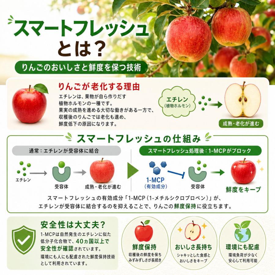 返金保証！スマートフレッシュ青森県産 りんご 訳あり 5kgセット 王林