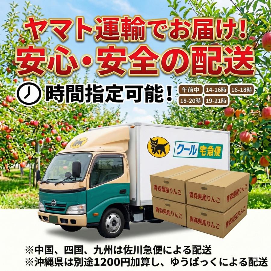 返金保証！スマートフレッシュ青森県産 りんご 訳あり 5kgセット 王林