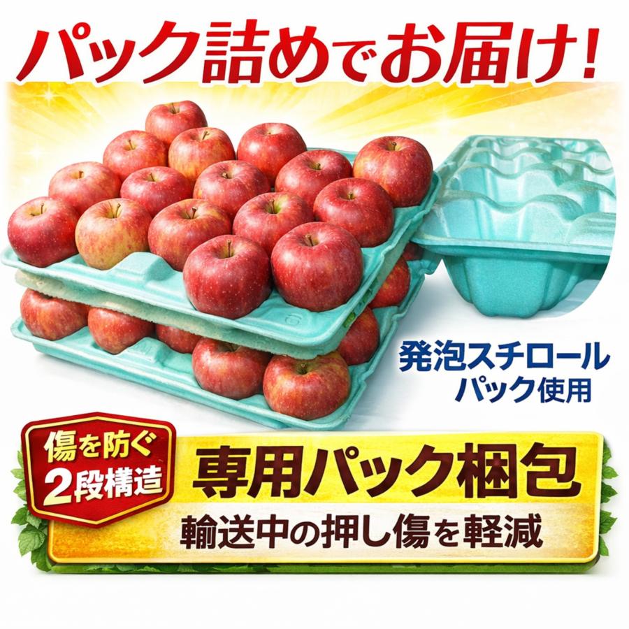 返金保証！スマートフレッシュ青森県産 りんご 訳あり 5kgセット 王林