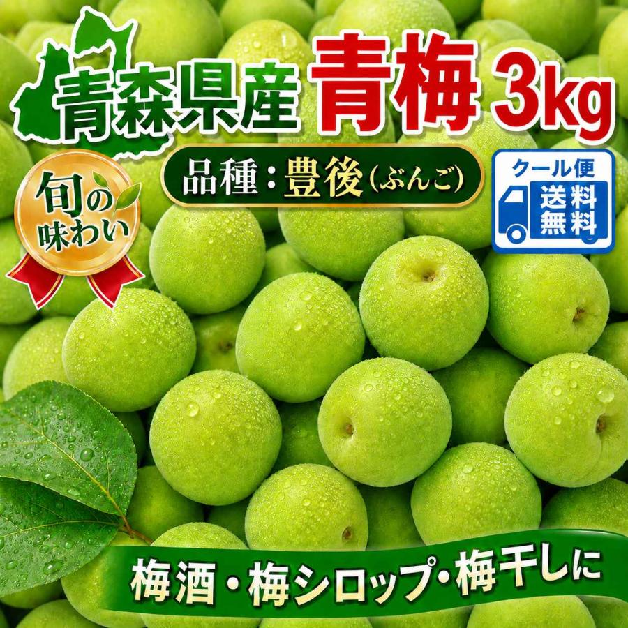 0403❄️クール便「冷凍紫小梅」3kg 青梅系　梅酒　シロップ用(梅干し不可) クール便 青森県産 青梅 ご家庭用（豊後）ぶんご 3kg 送料無料