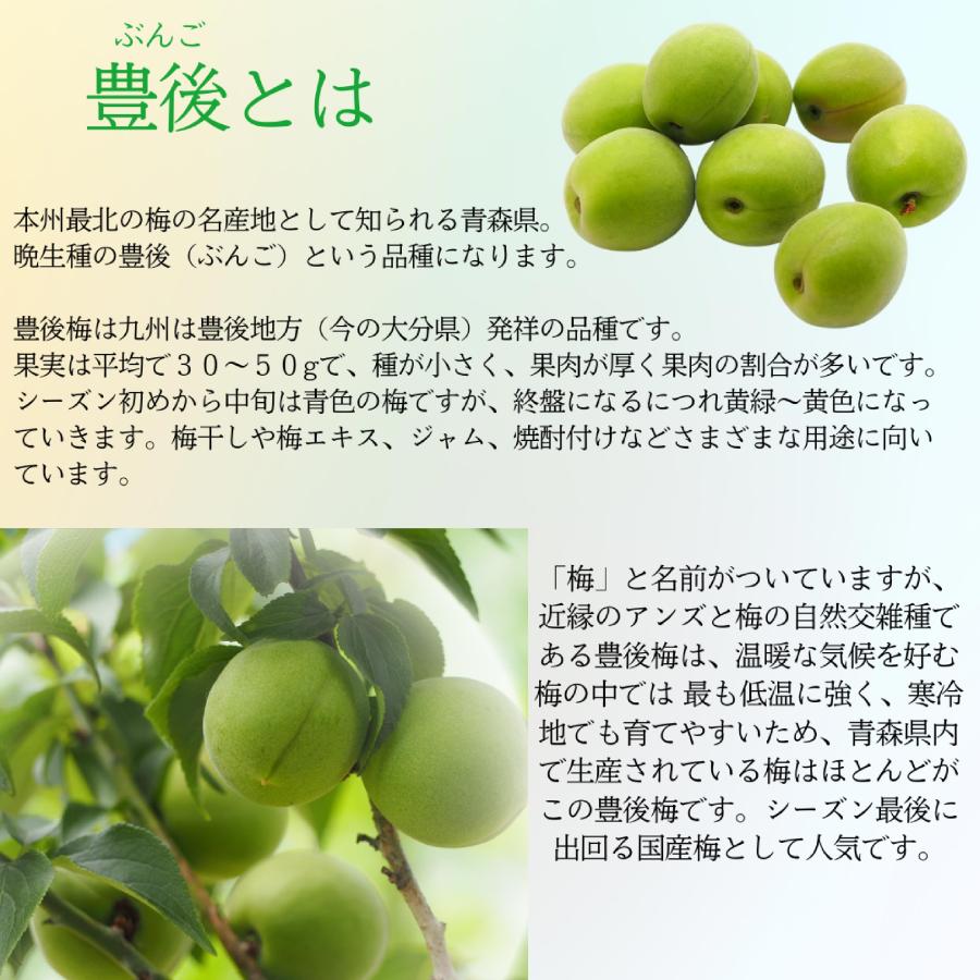クール便 青森県産 青梅 ご家庭用（豊後）ぶんご 3kg 送料無料