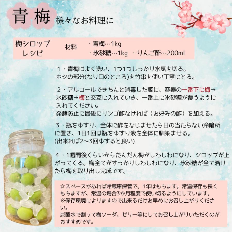 クール便 青森県産 青梅 ご家庭用（豊後）ぶんご 3kg 送料無料